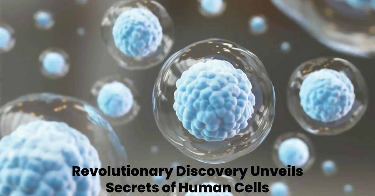 Revolutionary Discovery Unveils Secrets of Human Cells
